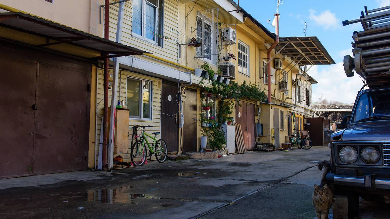 ������� ���� ����� ������� �������� � �. ����